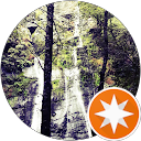 D M. profile picture